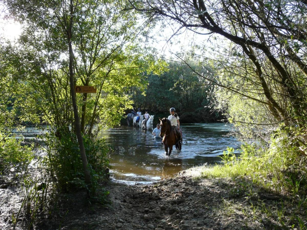 Complejo Oasis Beach Sobre El Rio Huerta  Exteriér fotografie
